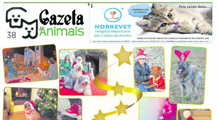 Gazeta dos animais