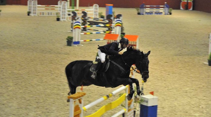 Nuno Martins_Ratatoulie_creditos fotográficos Jaime Feijão