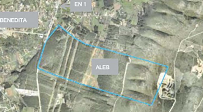 Notícias das Caldas