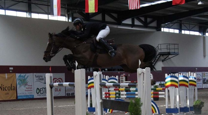 Mário Wilson Fernandes