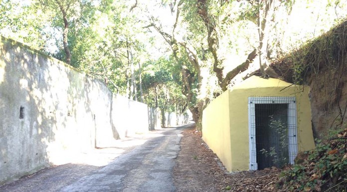 Rua Ernestina Martins Pereira