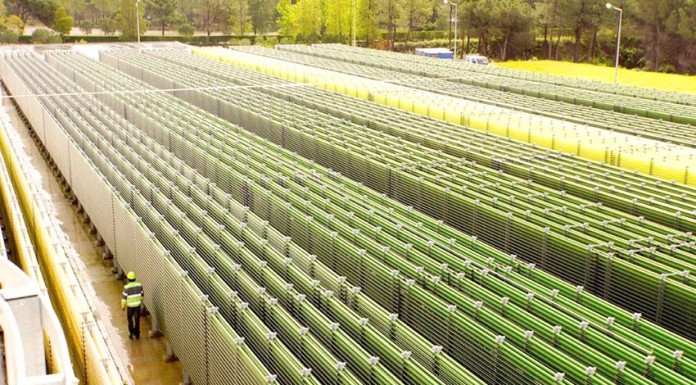 notícias das Caldas