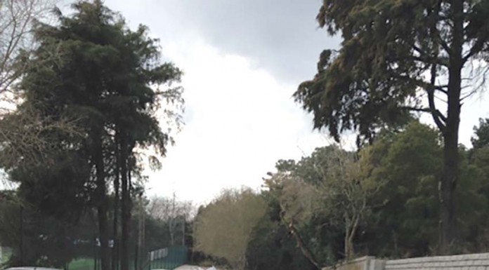 notícias das Caldas