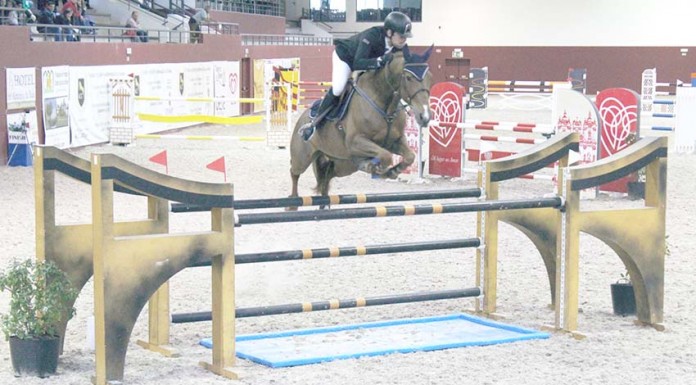 Notícias das Caldas