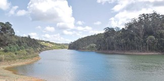 Barragem de Alvorninha cede água aos agricultores