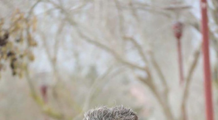 Notícias das Caldas