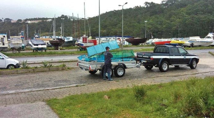 notícias das Caldas