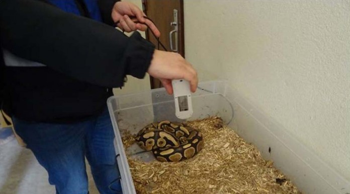 Notícias das Caldas