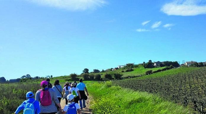 notícias das Caldas