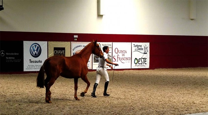 notícias das Caldas