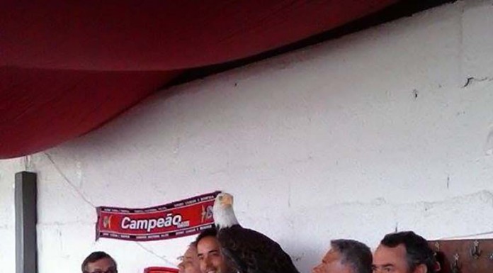 notícias das Caldas