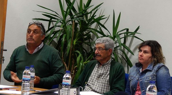 notícias das Caldas