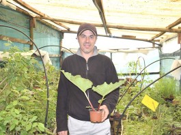 notícias das Caldas