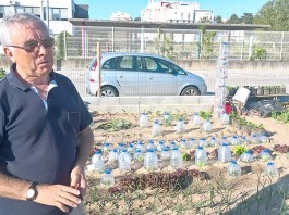 Hortas Urbanas - Gazeta das Cadlas