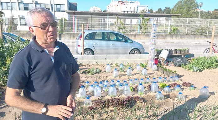 Hortas Urbanas - Gazeta das Cadlas