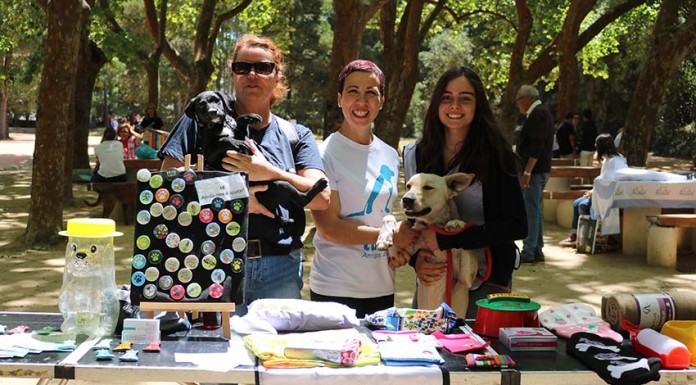 Notícias das Caldas