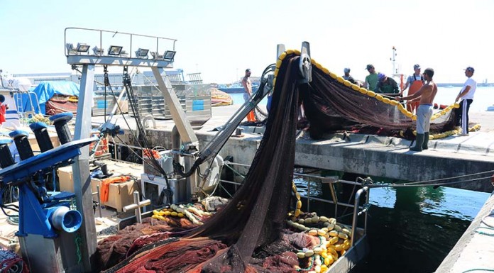 notícias das Caldas