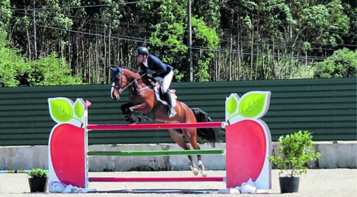 Notícias das Caldas