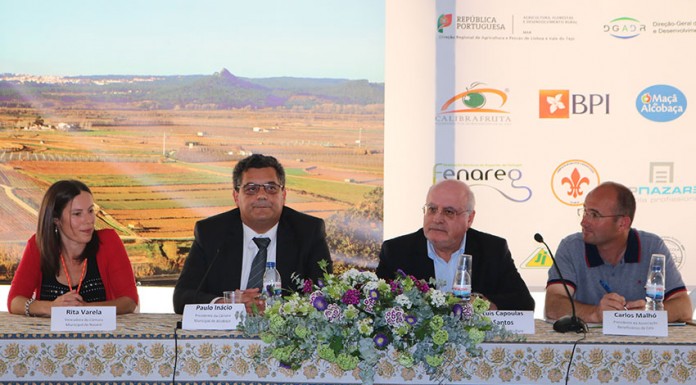 Dez milhões de euros para modernizar o regadio da Cela