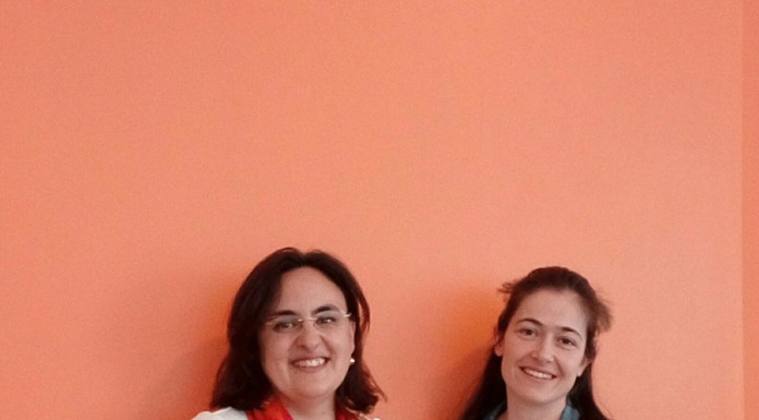 Nova direcção quer dinamizar Ginásio da Educação Da Vinci