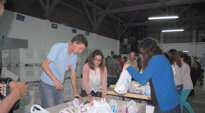 Mais de 57 toneladas de alimentos recolhidos pelo Banco Alimentar do Oeste Gazeta das Caldas