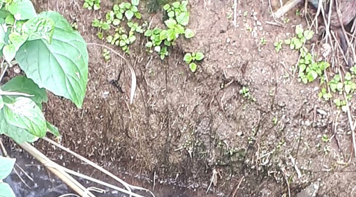 água seuja em direcção à praia da Foz