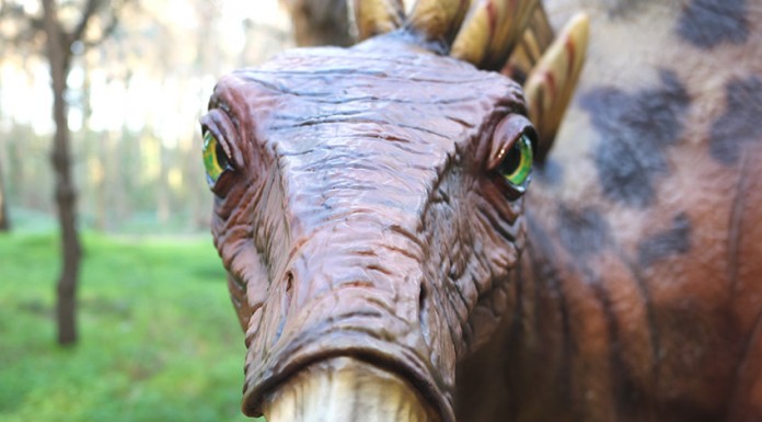 Dino Parque -Gazeta das Caldas