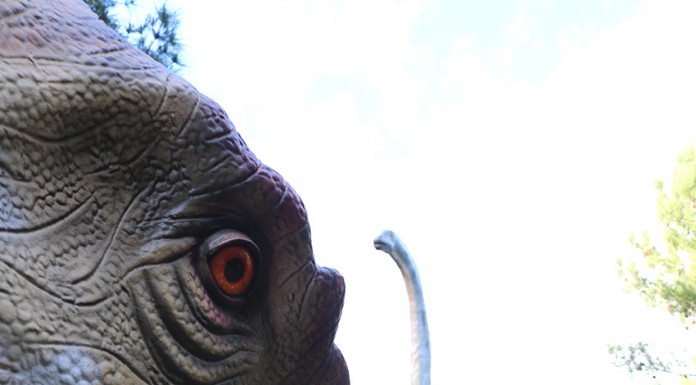 Dino Parque da Lourinhã contribuiu desde 2018 com mais de meio milhão de euros para investigação Dino Parque -Gazeta das Caldas