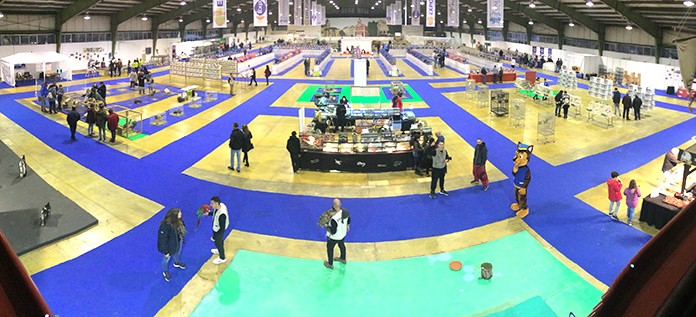 Gazeta das Caldas - Animália