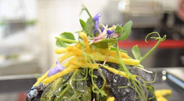 Gazeta das Caldas - Tronchuda