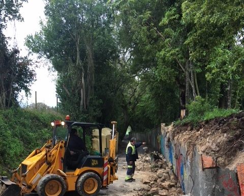 Gazeta das Cadas - Mata