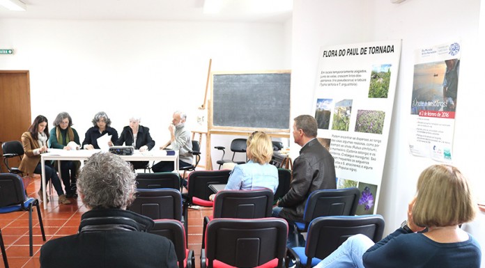 Gazeta das Caldas - Paul Tornada