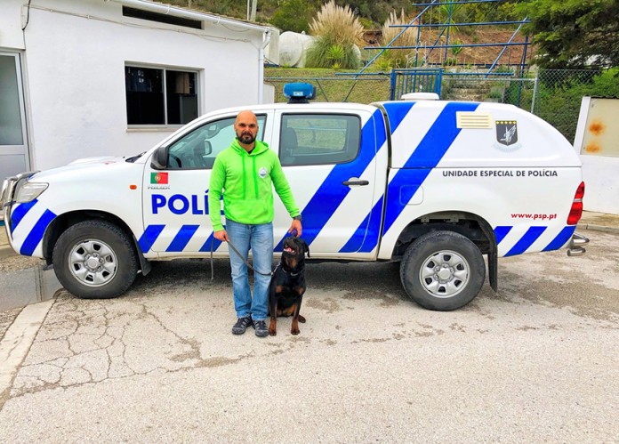 Oeste Dog Camp acreditada para treino de cães de raças perigosas