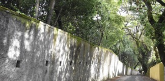Muro da Mata Rainha D. Leonor