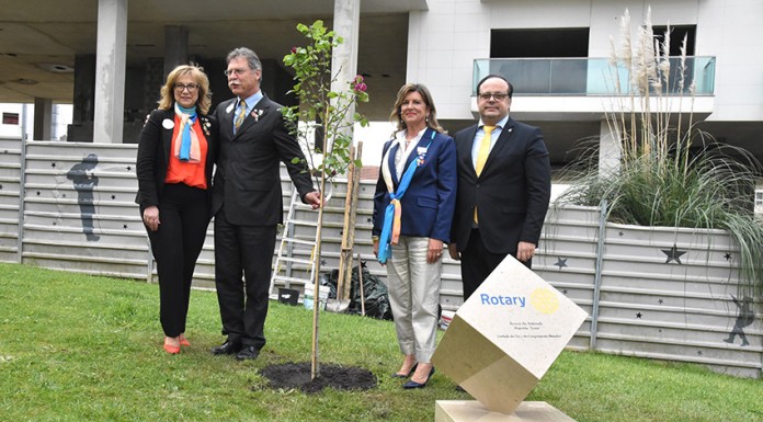 Os rotários plantaram uma “árvore da amizade”