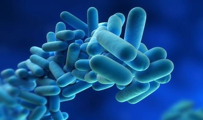 Legionella: uma velha conhecida dos caldenses Legionella