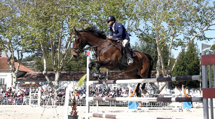 Nova disposição do recinto valorizou o Festival Oeste Lusitano Competição de Saltos