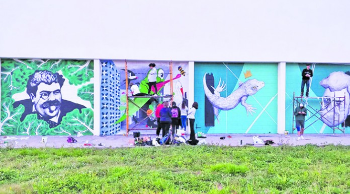 Graffitis embelezam escola Gazeta das Caldas