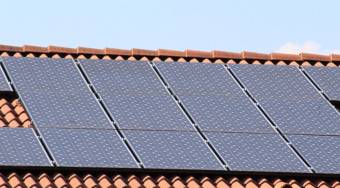 Gazeta das Caldas - EDP procura voluntários