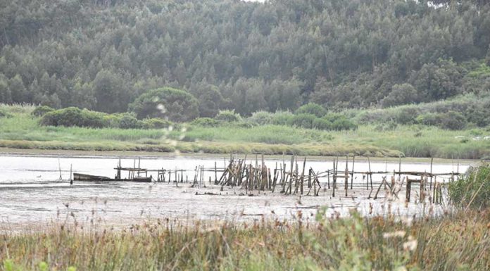 Gazeta das Caldas - Lagoa de Óbidos