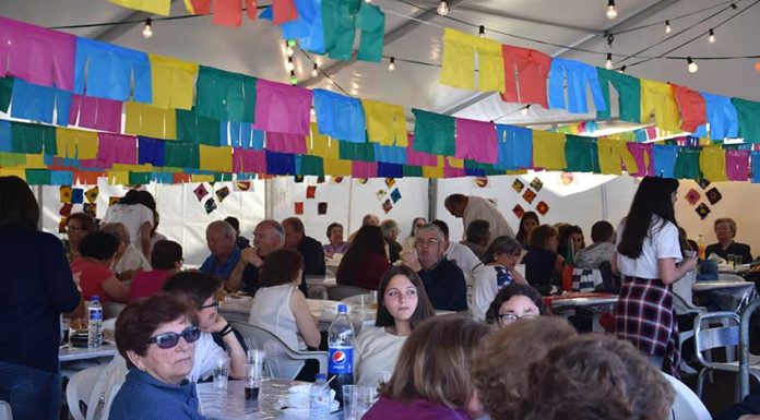 Gazeta das Caldas - Misericordia