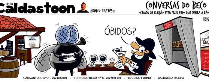 Gazeta das Caldas - caldastoon