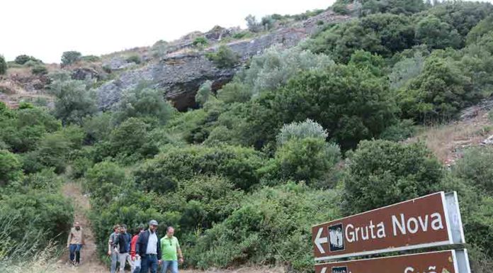 Autarcas e técnicos visitaram o Planalto das Cesaredas Gazeta das Caldas