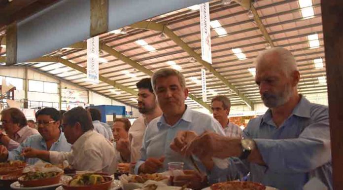 Tasquinhas com melhor cartaz e maior orçamento de sempre Gazeta das Caldas