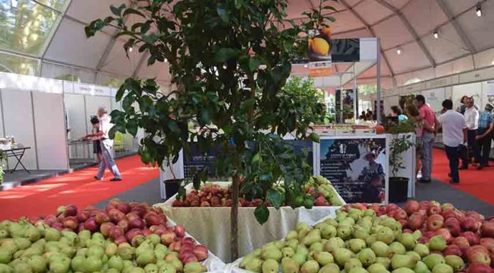 Frutos de 2018 quer ser mais sustentável Gazeta das Caldas