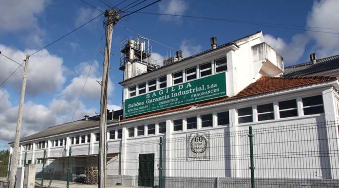 Nova administração vai investir 1 milhão de euros na Sagilda