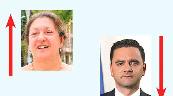 Gazeta das Caldas - Zé Povinho