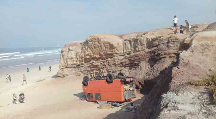 Gazeta das Caldas - Ferrel