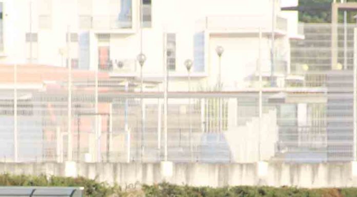 Gazeta das Caldas - Troféu Bernardo Dourado