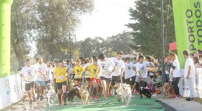 Corrida do Animal volta a Oeiras a 27 de Outubro Gazeta das Caldas - Corrida do Animal